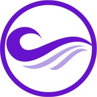 Purple Wave Solutions logo - Similar company to Developing World Connections