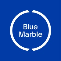 Blue Marble logo - Similar company to Blooming