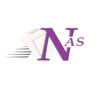 NoiseAcct Services LLC