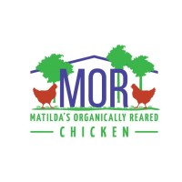 Mor Chickens