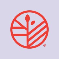 Yeleen Beauty logo - Similar company to Nan Technologies Inc