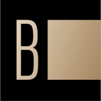 BorderlessCX™ logo - Similar company to Coderz