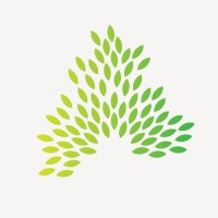 Domeli'C logo - Similar company to Ostruce