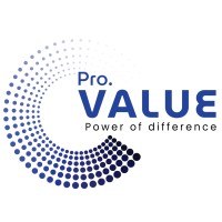 Pro Value logo - Similar company to Lytzone Solutions Llc