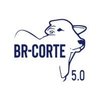 BR-Corte 5.0 logo - Similar company to Rural Consultoria Júnior