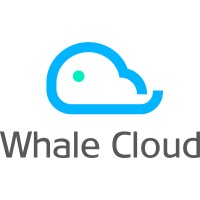 Whale Cloud logo - Similar company to Whale