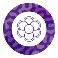 Mora Studio logo - Similar company to Green Know