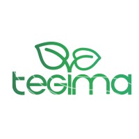 Tegima logo - Similar company to Tescom Sa (Pty) Ltd