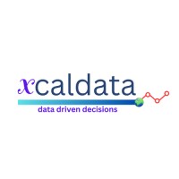 xcaldata logo - Similar company to Pluto Consultancy Services