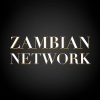 Zambian Network logo - Similar company to Expandasign