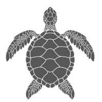 Turtle Solar Energy Solutions logo - Similar company to India Renewable Energy