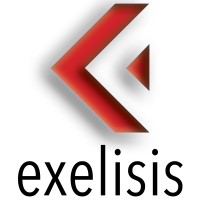EXELISIS IKE logo - Similar company to Yankatu Artistic Projects