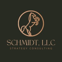 Schmidt Strategy Consulting