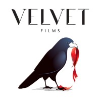 Velvet Films logo - Similar company to Yoomabox Business Solution