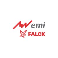 Grupo Emi logo - Similar company to Centro Médico Ave