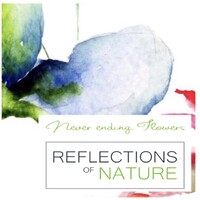 Reflections of Nature logo - Similar company to Hortus Flora