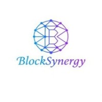 BlockSynergy Technology Limited logo - Similar company to Artofblockchain
