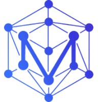 The Metaverse Institute logo - Similar company to Convex Foundation