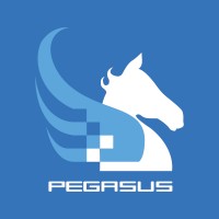 The Pegasus Group Company S.A. logo - Similar company to Playpro
