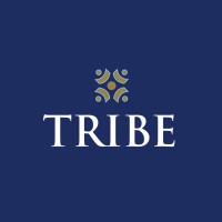 Tribe Management Consultants logo - Similar company to Tribeconsult