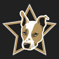 Clark Dog Media