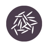Reishunger logo - Similar company to Mate | Schallzahnbürste