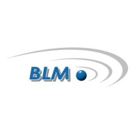 BLM Consultoria e Assessoria Contábil logo - Similar company to Andria Consultoria E Assessoria Humanizada