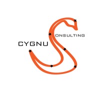 Cygnus Consulting logo - Similar company to Benefitmany Llc