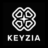 Keyzia logo - Similar company to WeMaintain