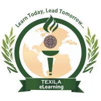 Texila e-Learning logo - Similar company to Learning Catalyst