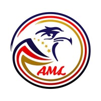 American Lubes Co., Ltd logo - Similar company to Vantage Commerce Pte. Ltd.
