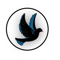 Noir Dove logo - Similar company to Madsfor.Com