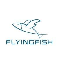Shiyan Flyingfish Power Co.,Ltd logo - Similar company to Industrial Technical Solutions Ltd