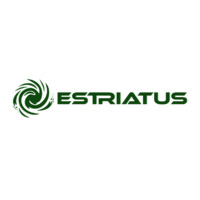 Estriatus Capital logo - Similar company to Digital Inventory Systems