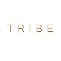 Tribe Impact Ventures logo - Similar company to Paglago