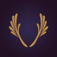 Viklik LLC logo - Similar company to Stacktech Llc