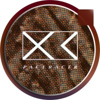 Paceracer logo - Similar company to Estele Nz Ltd