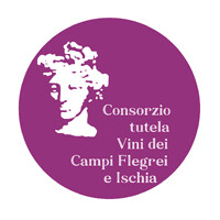 Consorzio tutela vini dei Campi Flegrei e Ischia logo - Similar company to Vesuviolive.It