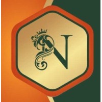 Naman Techsolutions logo - Similar company to Freightrans