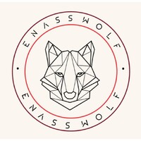 BDE ENASS WOLF logo - Similar company to Lbdf Group