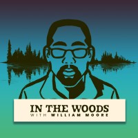 In The Woods
