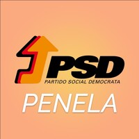 PSD Penela logo - Similar company to Sirl