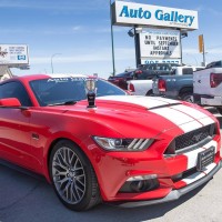 Auto Gallery Of Winnipeg logo - Similar company to The Winnipeg Business Podcast