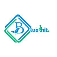 Blueinit logo - Similar company to E-Cold