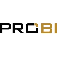 PRO BI PRIVATE LIMITED logo - Similar company to Prompt Erp America Inc.