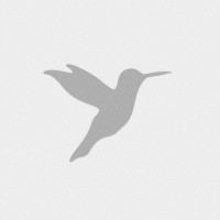 Mathias Koester Architects SL logo - Similar company to Rblm Ltd