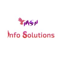MSN Info Solutions logo - Similar company to Webfactory_1