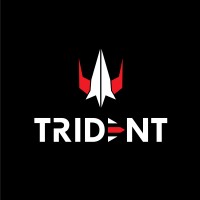 TRIDENT TECHNO SOLUTIONS logo - Similar company to Logo Emblem Industries Co.,Ltd.