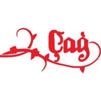 ÇAĞ KABARA logo - Similar company to Cnr Wood