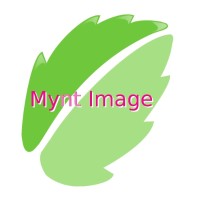 MYNT IMAGE LTD
